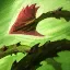 Zyra Passive Icon